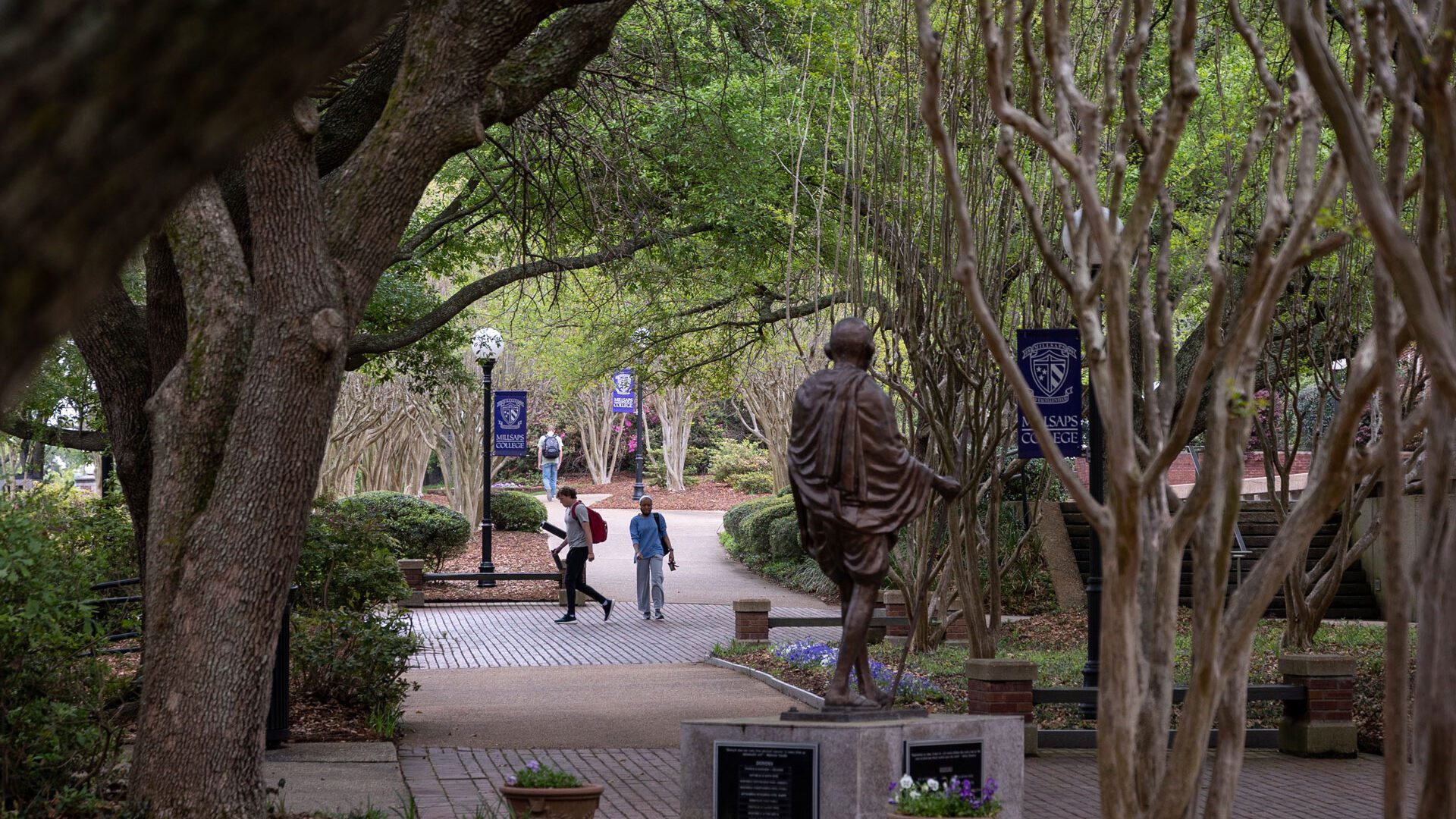 A view of the Millsaps campus, with a winding walkway lined by beautiful oak trees and a statue of Gandhi
