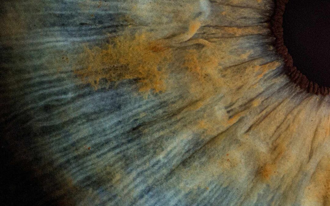 Neuro- & Cognitive Science